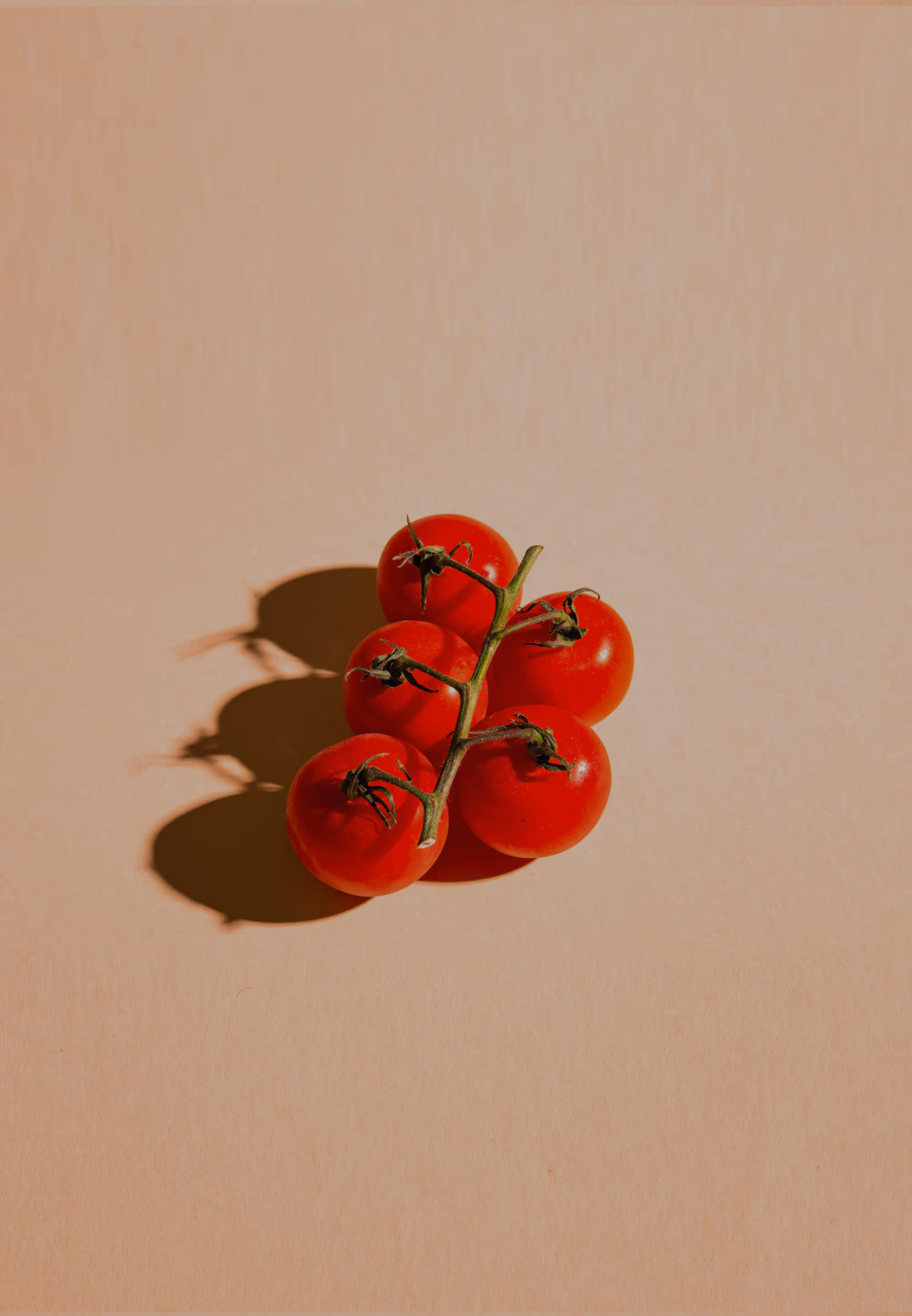 tomatoes
